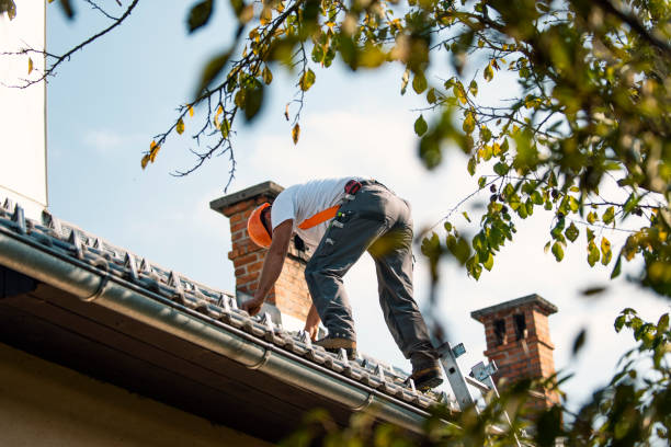 Best Roof Maintenance Services  in Newaygo, MI