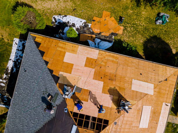 Best Commercial Roofing Services  in Newaygo, MI