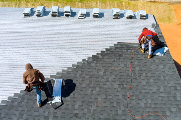 Best Roofing Contractor Near Me  in Newaygo, MI