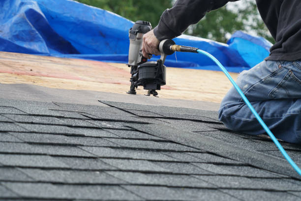 Best Storm Damage Roof Repair  in Newaygo, MI