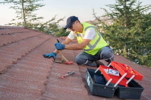 Best Roof Repair Services  in Newaygo, MI