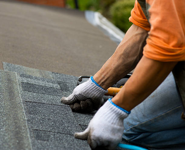 Residential Roof Replacement in Newaygo, MI